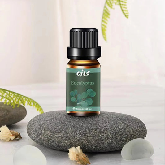 6 Natural fragrances (eucalyptus, vanilla, Citronella, rosemary, mint, lemon leaf) Aromatherapy oils for the home office using a